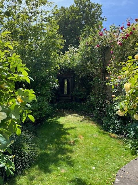 garden3.jpg